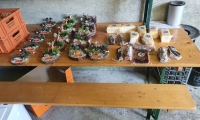 IMG-20211003-WA0062