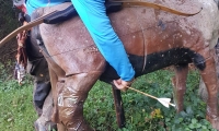 IMG-20211003-WA0072