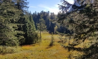 20180926_101642