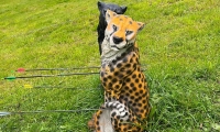 IMG-20220925-WA0043