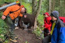 IMG-20220925-WA0001