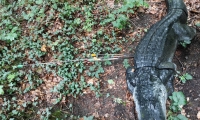 IMG-20231001-WA0008