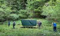 IMG-20250517-WA0011