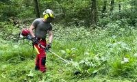 IMG-20250517-WA0015
