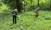 IMG-20250517-WA0017