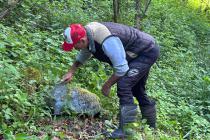 IMG-20250517-WA0007