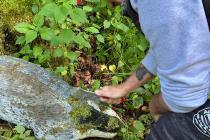 IMG-20250517-WA0009