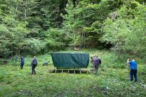 IMG-20250517-WA0011